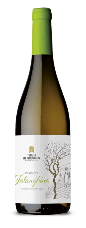Falanghina Tenuta De Gregorio